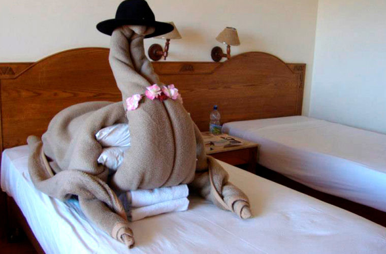  Верблюд, который  ожидает гостя на кровати