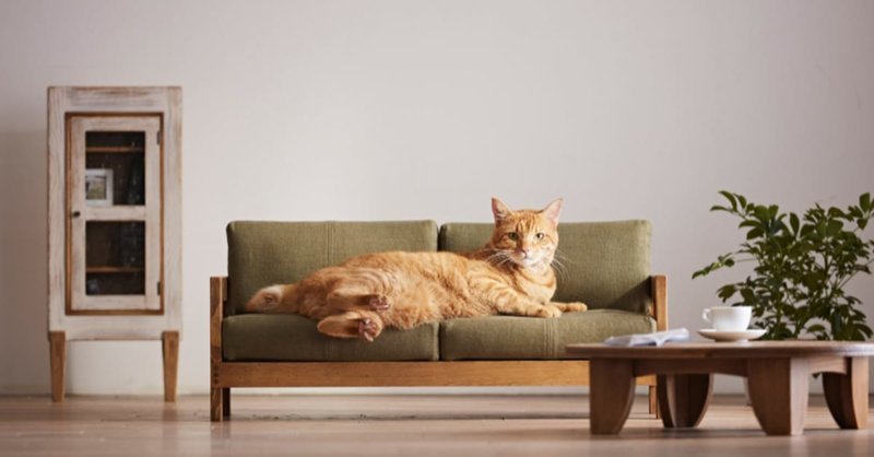Японская компания Okawa Kagu представила коллекцию высококачественной мебели специально для кошек