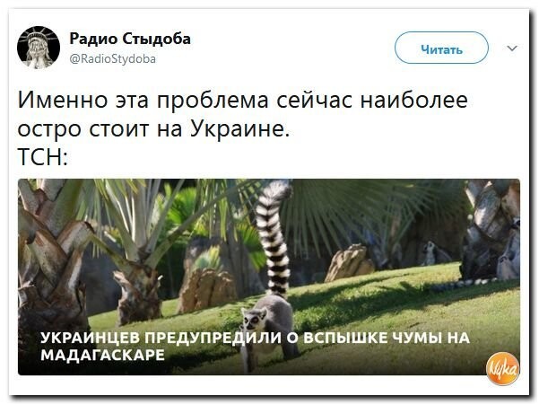 Политические коментарии соцсетей - 276