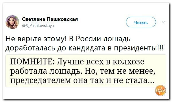 Политические коментарии соцсетей - 276