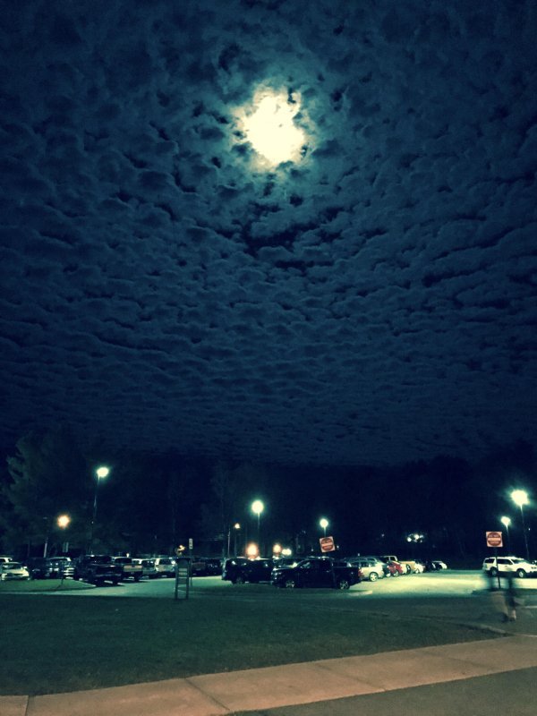 Ночное небо 