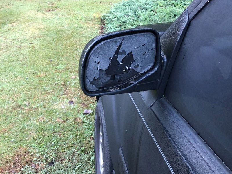 Дятел-вандал разбил десятки автомобильных зеркал
