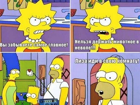 Подборка цитат из сериала Симпсоны - The Simpsons