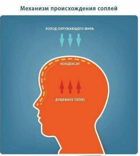 Очередная порция картинок с подписями