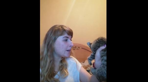 Деградация общества идет полным ходом: москвичка бьет котенка и выкладывает видео в интернет