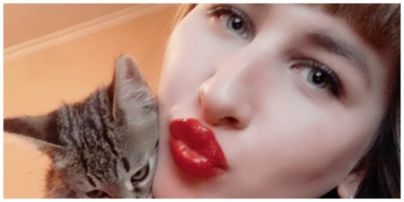 Деградация общества идет полным ходом: москвичка бьет котенка и выкладывает видео в интернет
