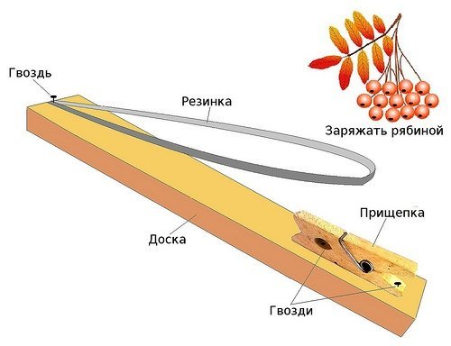 Самострел