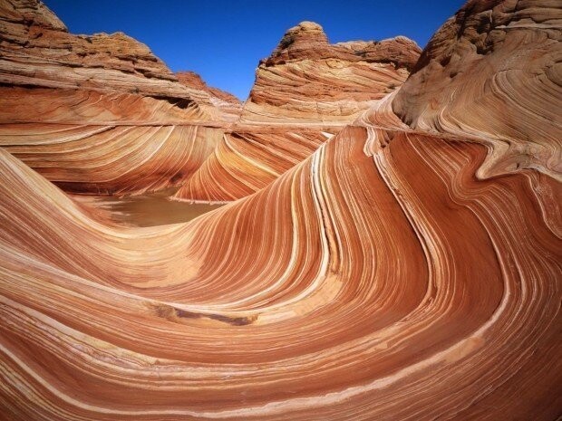 41. Coyote Buttes