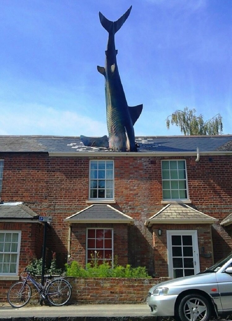 5. Хедингтонская акула, Оксфорд, Великобритания