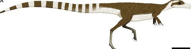 Ученые реконструировали динозавра-енота