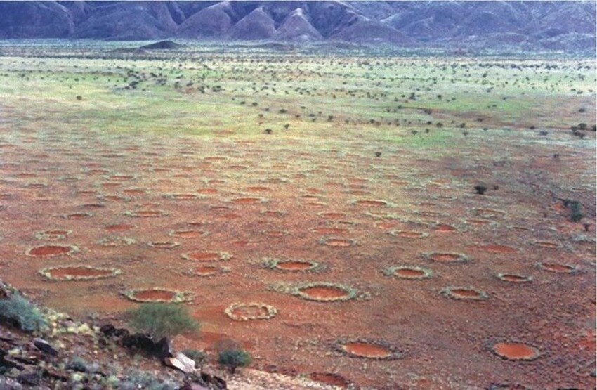 13. Загадочные круги в пустыне Намиб