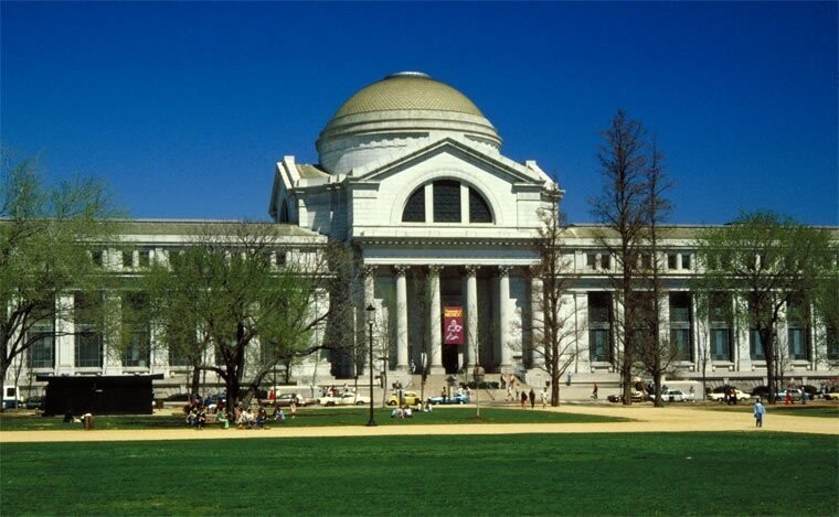 Национальный музей естественной истории (Вашингтон)