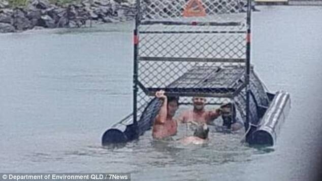 На прошлой неделе в Квинсленде произошел еще один "крокодилий" инцидент: четыре парня решили поплавать в водоеме, кишащем крокодилами, закрывшись внутри ловушки для крокодилов