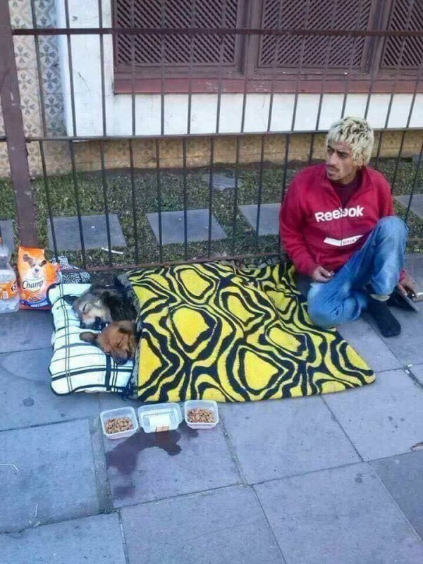Бездомный с добрым сердцем 