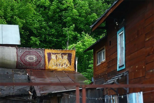 Невероятные приключения ковров в России: 29 фото, подтверждающих креативность русских людей