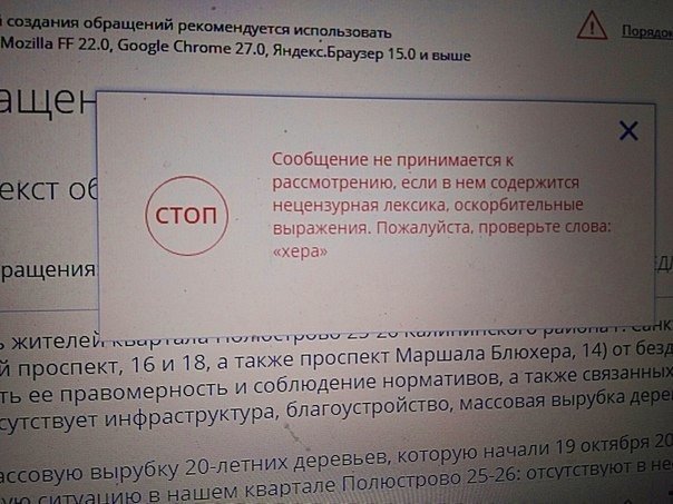 Петербурженка не смогла оставить жалобу на сайте Госдумы из-за «нецензурного» названия проспекта