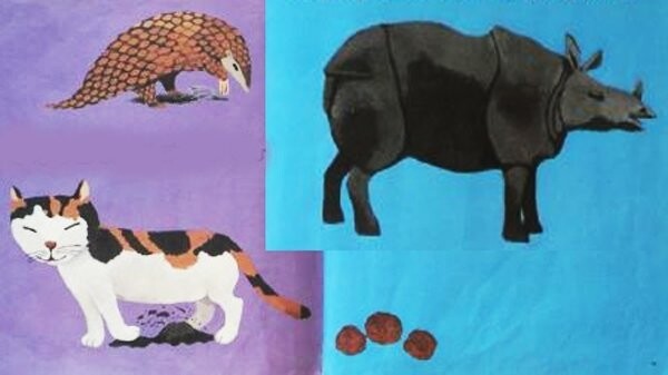 Японская книжка про какашки