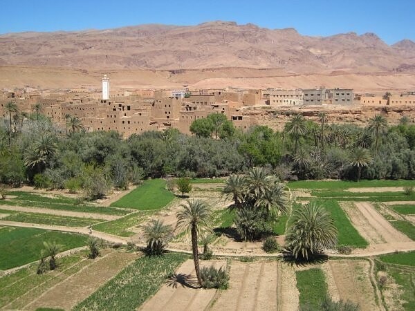 12. Оазис Sprawling Tinerhir, расположен у подножья горы Атласа в Марокко.