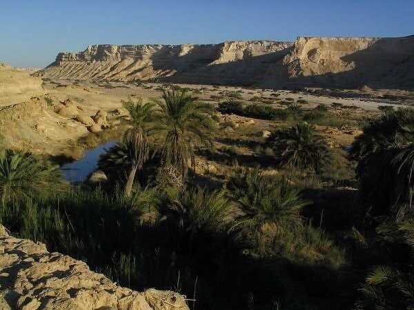 15. Этот оазис скрыт в глубине пустыни Омана, где количество зеленых оазисов лишь малые точка ландшафта.