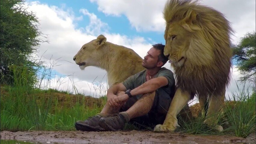 Дружба человека со львами