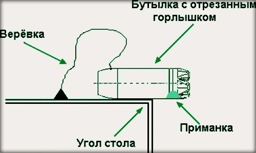 Безопасная мышеловка из пластиковой бутылки своими руками