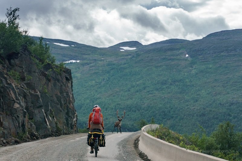 Норвежский велотрип