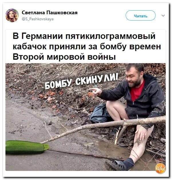 Политические коментарии соцсетей - 294
