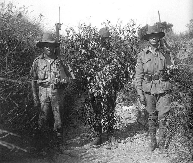 Первая Мировая. Турецкий снайпер, захваченный австралийскими солдатами. Снайпер замаскирован... под куст конопли
