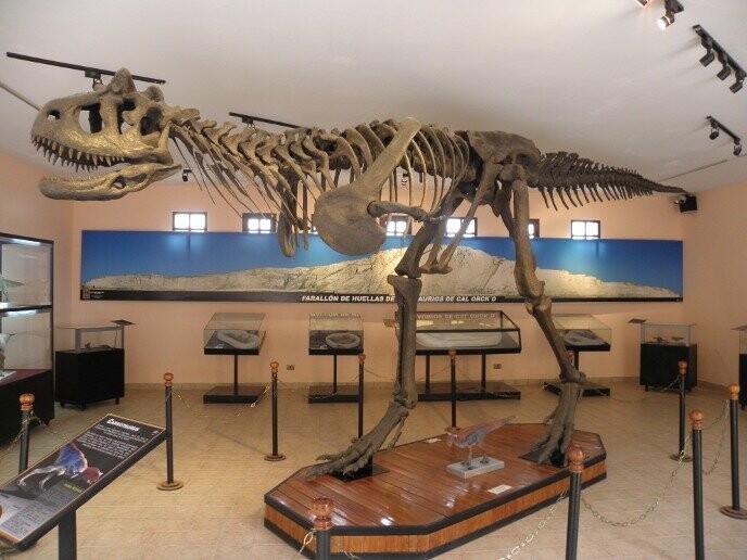 Интересные факты про Южную Америку. Часть вторая - палеонтология (рептилии)