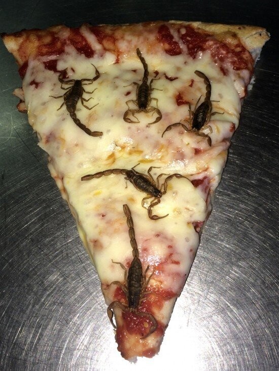 12. Может, кусочек пиццы со скорпионами?