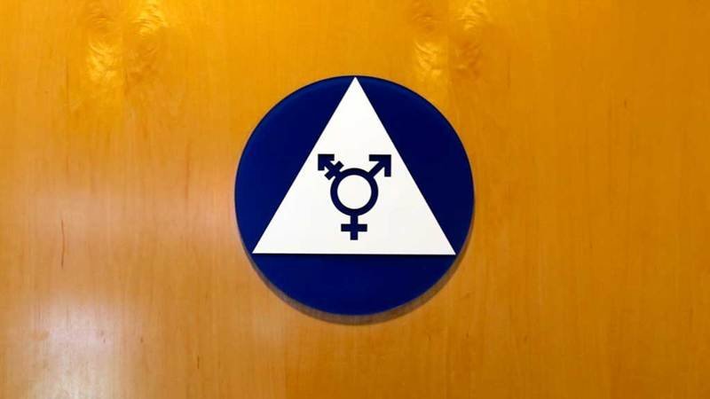 Конституционный суд Германии разрешил регистрировать «третий пол» в ЗАГСах