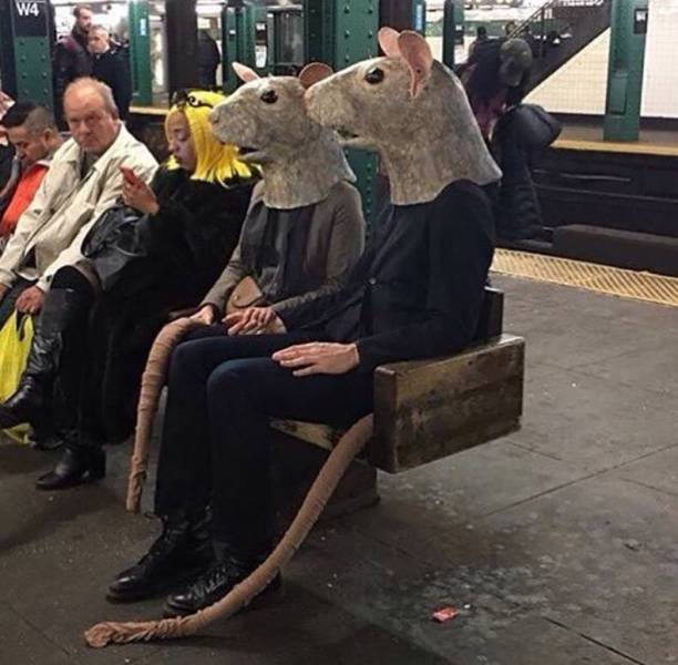 Крысы в метро 