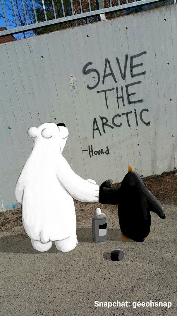 5. Спасите Арктику 