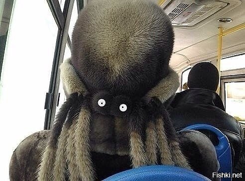Задремал такой в автобусе, потом глаза открываешь