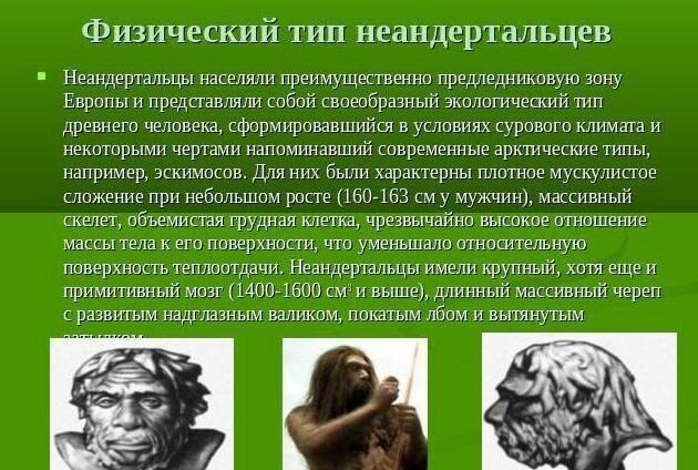 Неандерталец - а может всё было по другому?