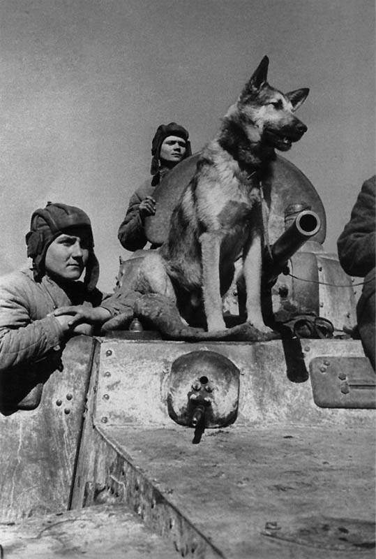 Эммануил Евзерихин, Ростов-на-Дону 1943 год