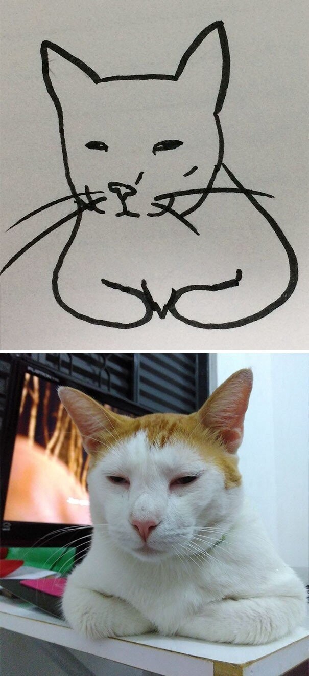 Художник с чувством юмора превращает глупые фото котов в рисунки еще глупее
