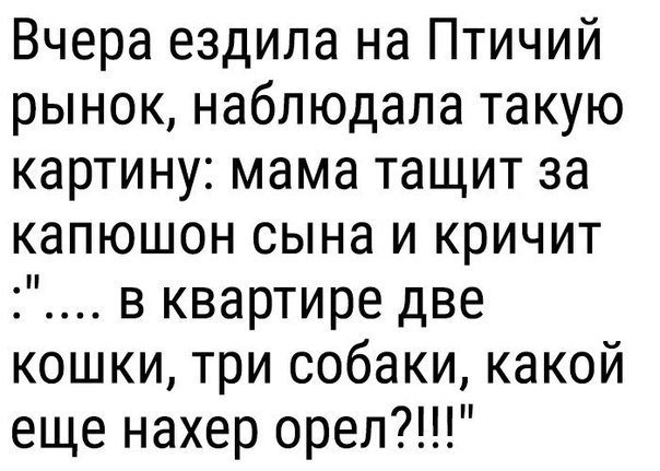 Очередная порция картинок с подписями от TainT за 13 ноября 2017