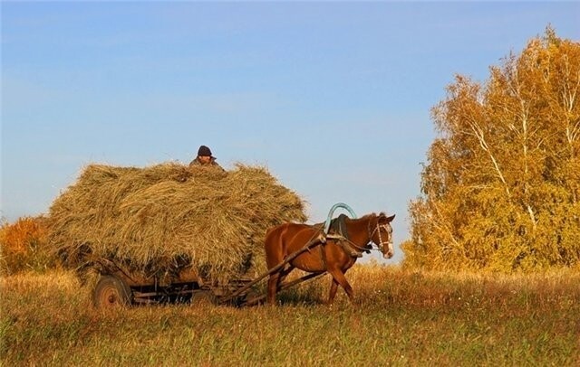 Физика на дорогах