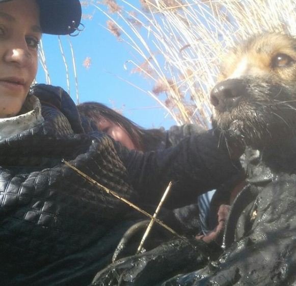 Жительницы Приморья, рискуя жизнью, спасли собаку из «илистого плена»