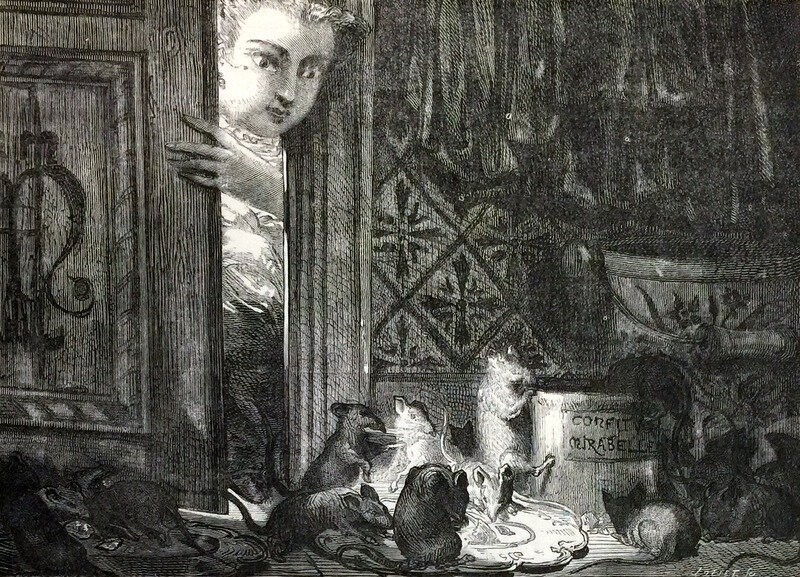 Сказки Перро, продолженные Тимотэ Триммом. Иллюстрации Анри де Монто Париж, 1865 год