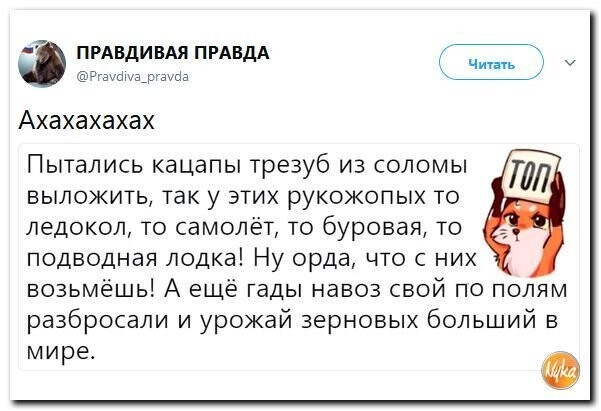 Политические коментарии соцсетей - 306