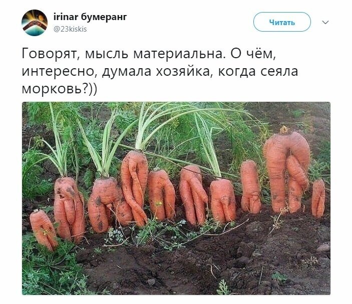 Политические коментарии соцсетей - 308