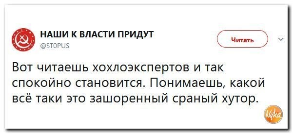 Политические коментарии соцсетей - 308