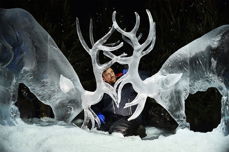 Невероятные ледяные скульптуры Даррена Джексона