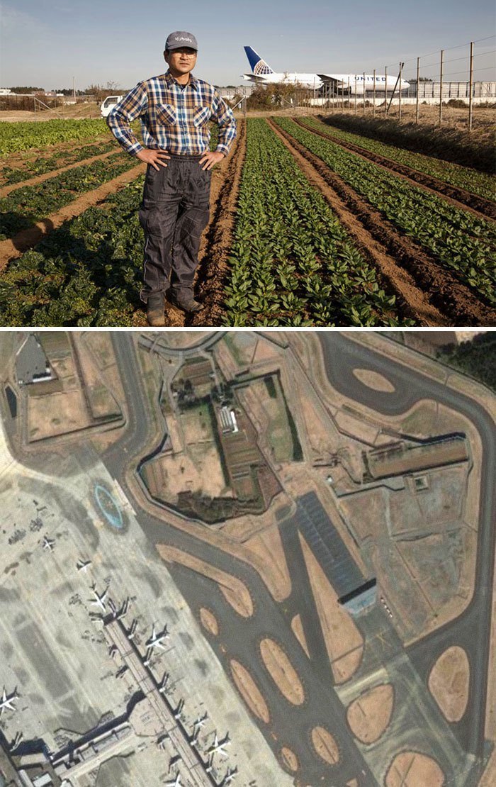 25. Японский фермер посреди своего поля в центре территории, принадлежащей аэропорту Нарита