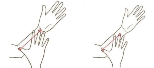 Размер и форма рук раскроют тайны вашего характера!