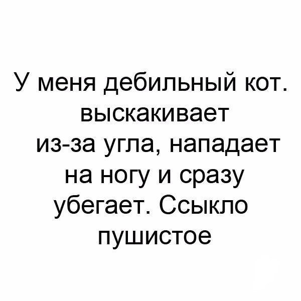 Очередная порция картинок с подписями от TainT за 20 ноября 2017