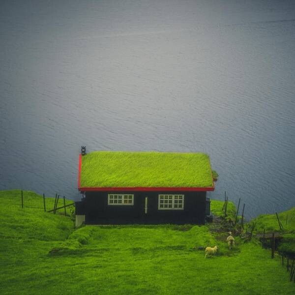 Зеленый домик