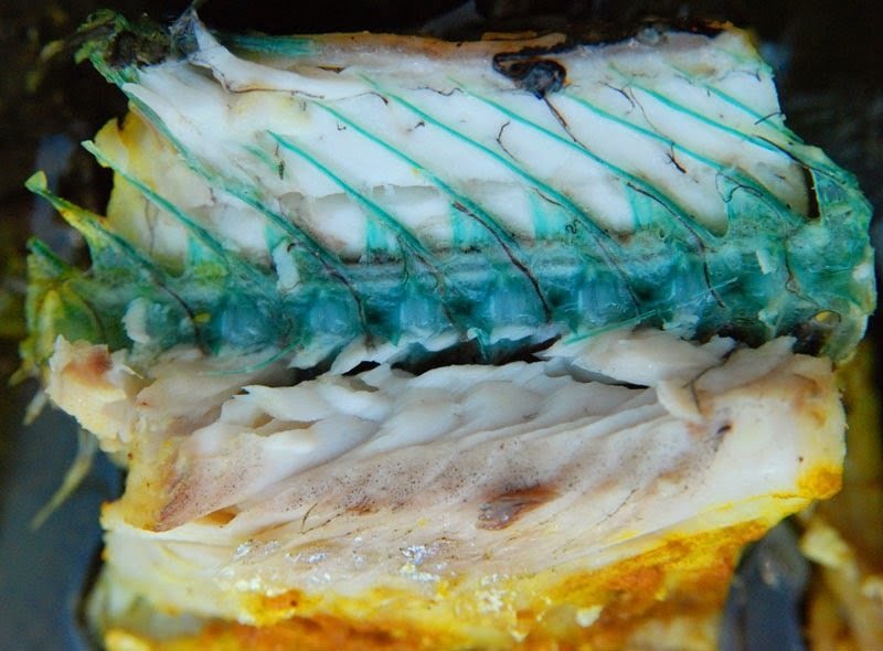 А вот у рыбы сарган кости зеленые из-за повышенного содержания биливердина